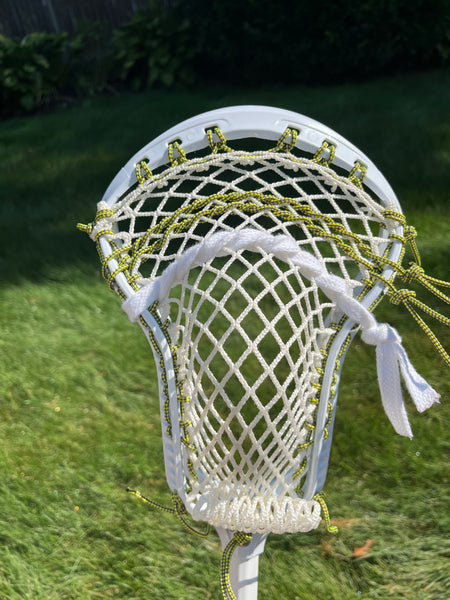 Silver Fin Axis w/ Mesh Dynasty 8d