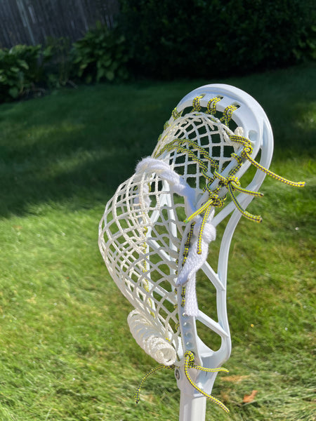 Silver Fin Axis w/ Mesh Dynasty 8d