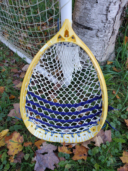 Georgia Swarm