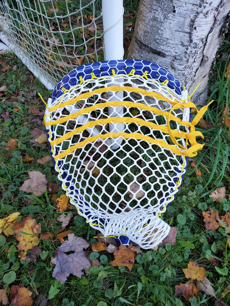 Georgia Swarm