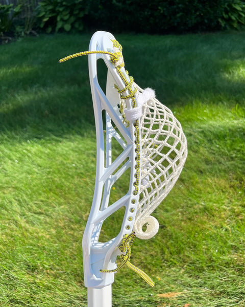 Silver Fin Axis w/ Mesh Dynasty 8d